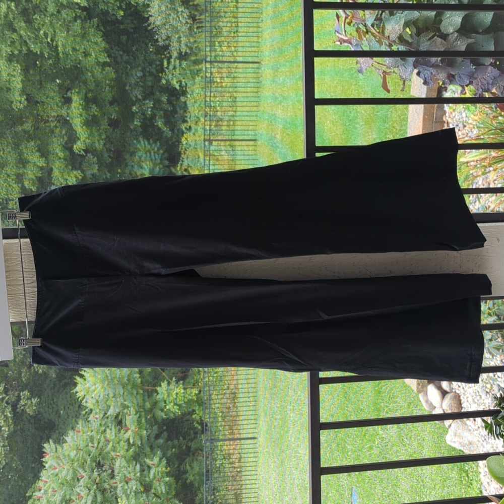 Arden B. Size 10 wide leg, high waisted pants